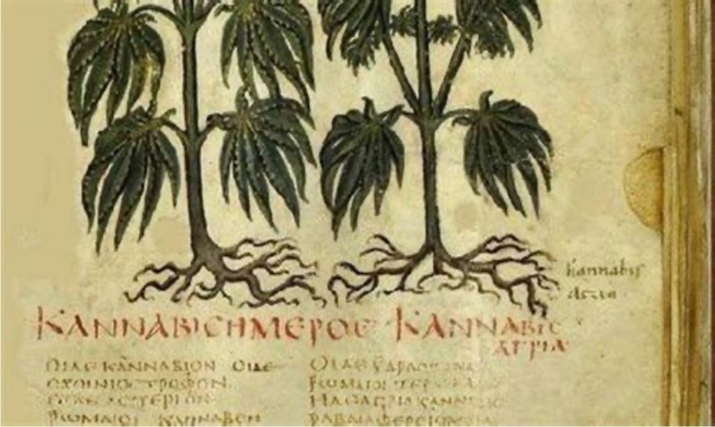 Cannabis use in Greece before its prohibition in 1890